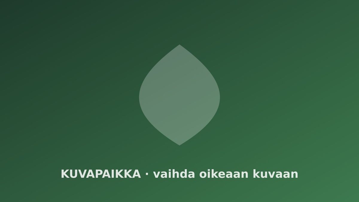 Parhaat komposterit 2026 – vertailu ja ostajan opas