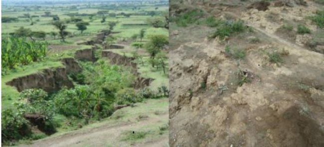 Zenebe Watershed Degradation and the Growing Risk of Erosion in Hawassa-Zuria District, Southern Ethiopia